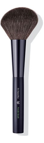 hauschkapowderbrush